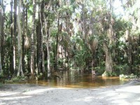 /album/fotos%20do%20litoral%20c%c3%a2ndido%20mendes/g-pict3535-jpg/